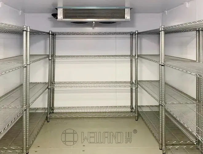 China Famous Manufacturer Company 4 Tiers Stainless Steel Wire Shelving Rack for Cold Chain (4)