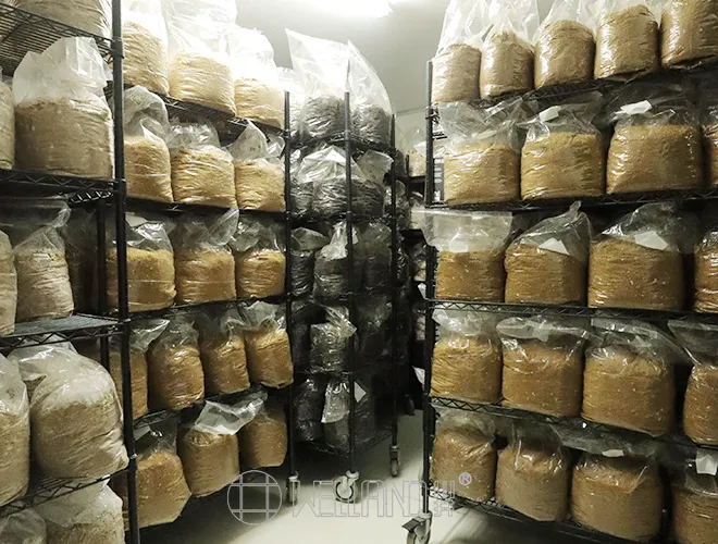 Customization 6 tiers green mushroom growing indoors shelving racks (4)