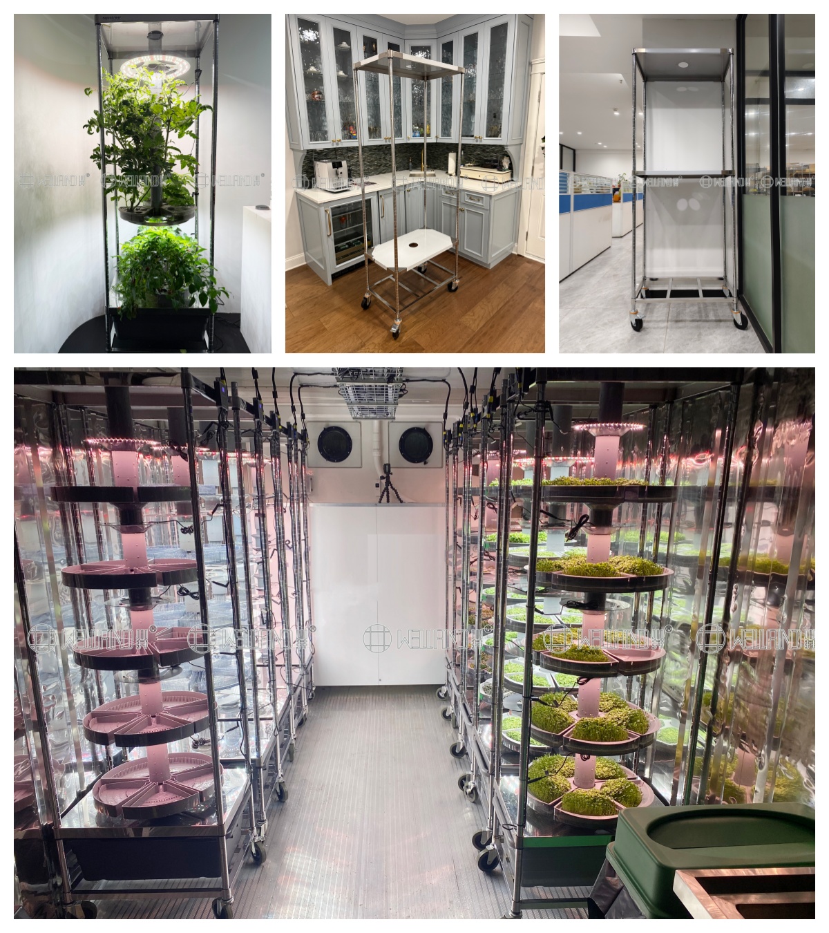 Maximize Your Greenhouse Potential with American-Designed Racking Solutions (2).jpg Maximize Your Greenhouse Potential with American-Designed Racking Solutions (2).jpg